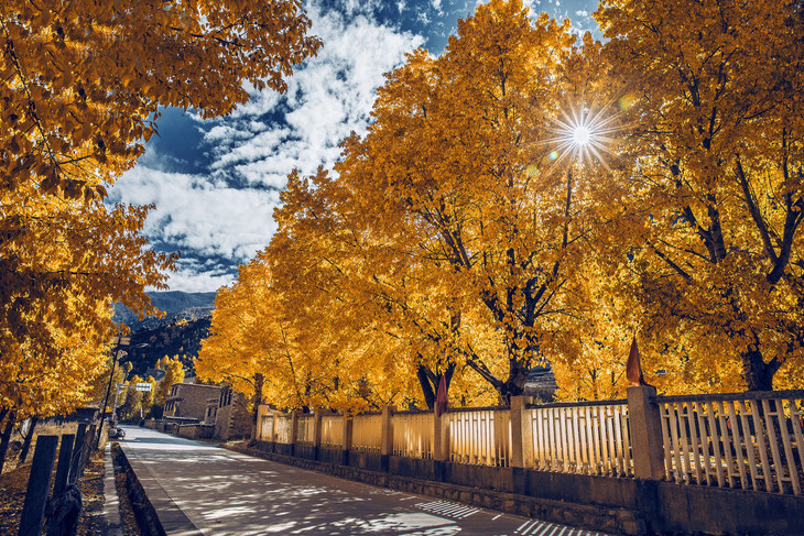 稻城亚丁环线7日游深度摄影之旅包车拼车,蚂蜂