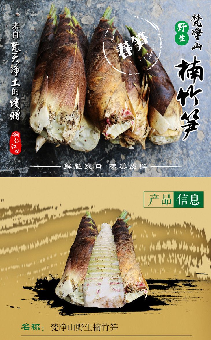 【梵净山·野生楠竹笋】5斤装下单后3天内发货部分地区不发货现挖现发