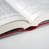 中国文字发展史 商周文字卷 附光盘 臧克和 精装 中国语言文字学史 商品缩略图3