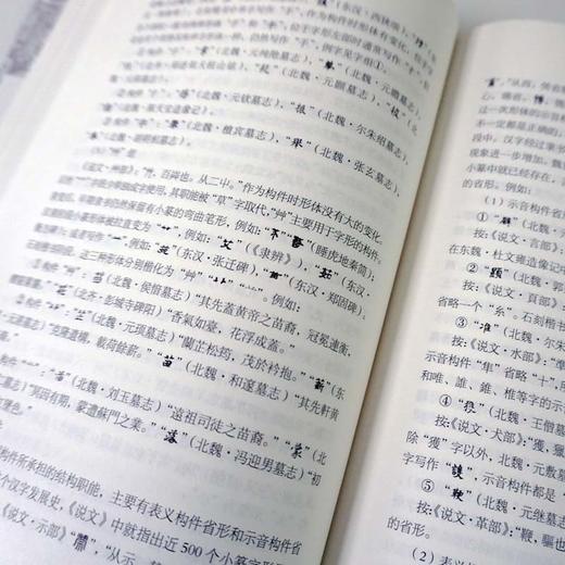 中国文字发展史 魏晋南北朝文字卷 臧克和 精装 中国语言文字学史 商品图3