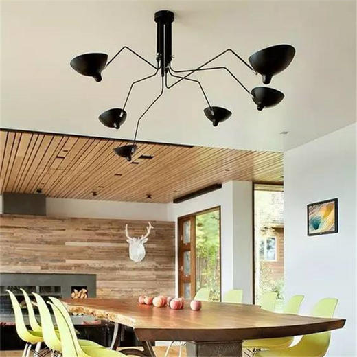 鸭嘴灯 商品图3