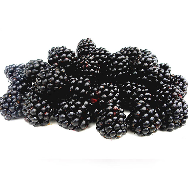 黑莓 盒装
