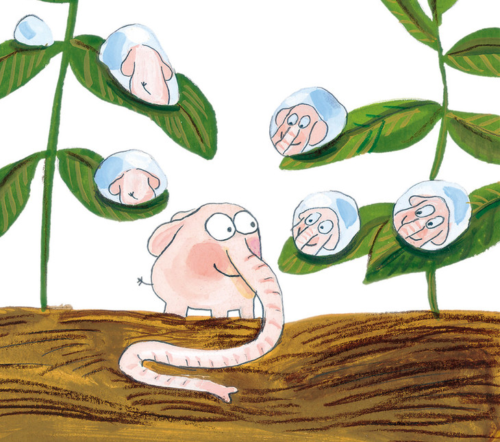 花园小象波米诺