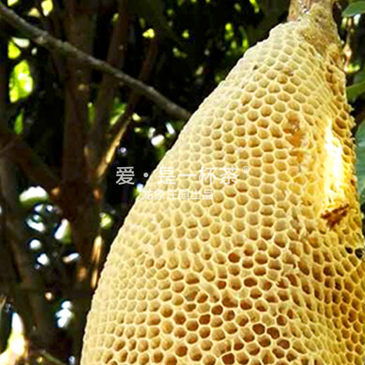 云南野蜂蜜 商品图1