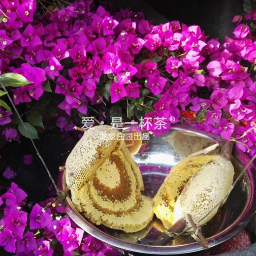 云南野蜂蜜 商品图0