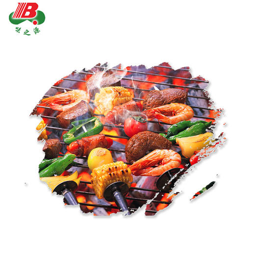 【味之源】绝味烧烤酱 烧烤调味料1000g/桶 商品图2