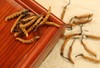 1700条虫草-央珍虫草 商品缩略图1