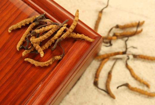 1700条虫草-央珍虫草 商品图1