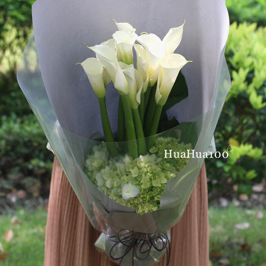 骑士丨绿绣球白色马蹄莲花束（请提前预订哦~） 商品图2