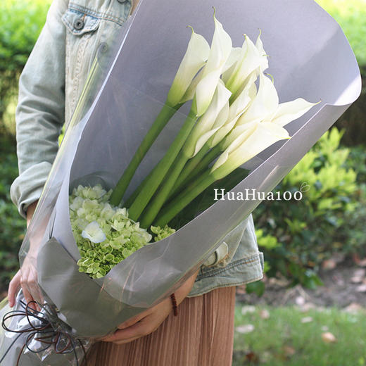 骑士丨绿绣球白色马蹄莲花束（请提前预订哦~） 商品图0