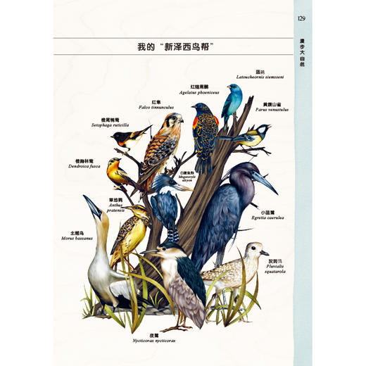 动物如友邻：生而为人的自我修养 商品图1