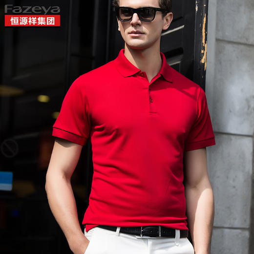 恒源祥集团彩羊 男士纯色POLO衫 17F105A 商品图1