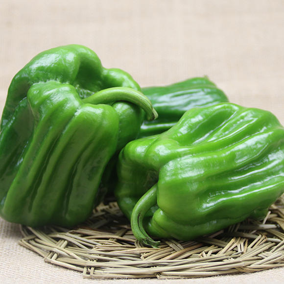 麻椒蔬菜,麻椒辣椒,花椒麻椒(第2页)_大山谷图库