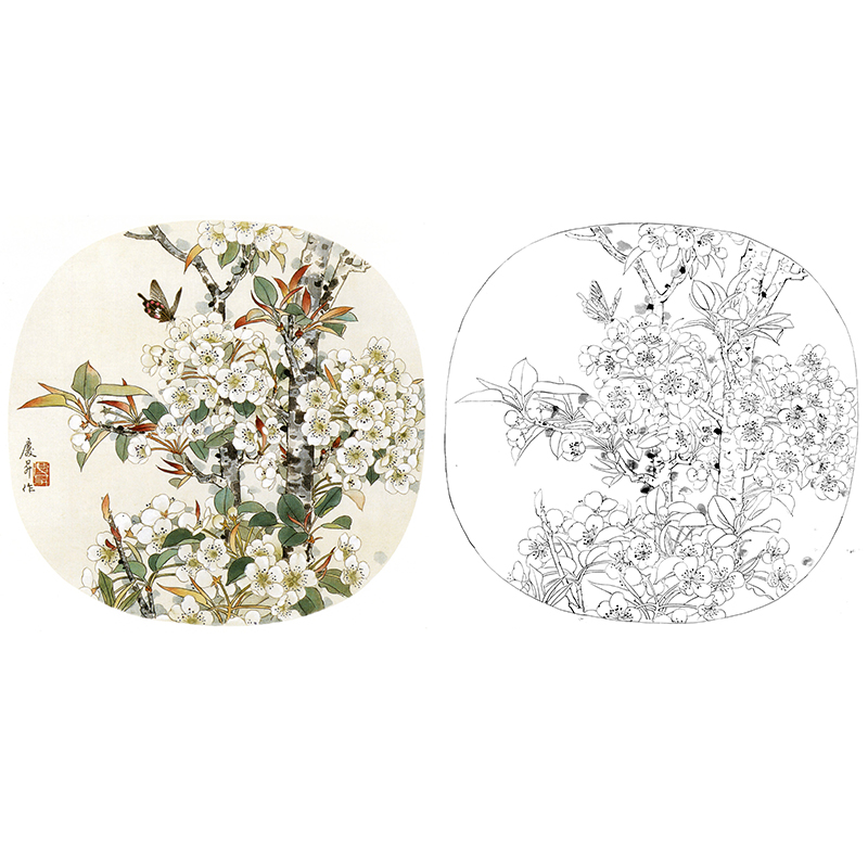 斗方小品花鸟-王庆升梨花-qb24 - 工笔底稿商城