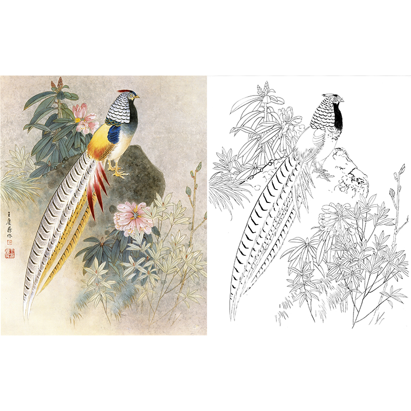 锦鸡花鸟-王庆升白腹锦鸡-qb19