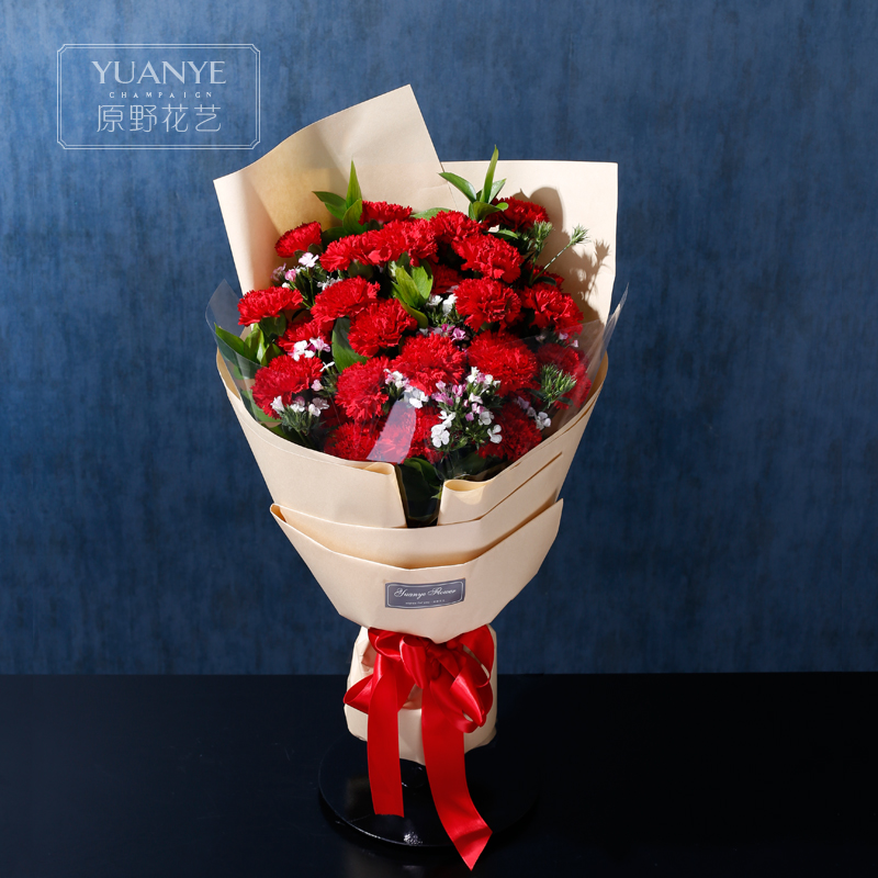 26朵红色康乃馨花束