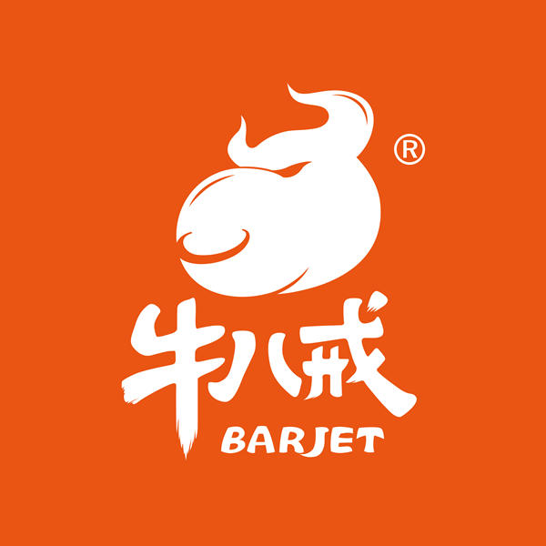 九匠牛内蒙古风干牛肉208g