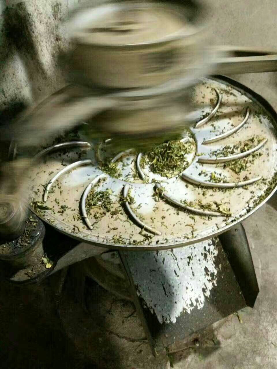 揭西大洋炒茶(春茶系之黄旦茶)