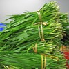 生态韭菜 | 绿家自产* Eco-Chinese chives | Self-production 商品缩略图1