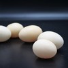 生态鸡蛋 （7~11个/斤）| 绿家自产* Eco- egg | Self-production 商品缩略图1