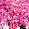 爱你久久丨199朵玫瑰花束（5款入）限时优惠提前预定哦~ 商品缩略图7