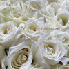 爱你久久丨199朵玫瑰花束（5款入）限时优惠提前预定哦~ 商品缩略图8
