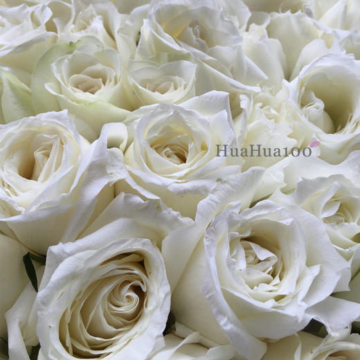 爱你久久丨199朵玫瑰花束（5款入）限时优惠提前预定哦~ 商品图8