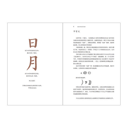 【给孩子系列】给孩子的汉字王国 商品图4