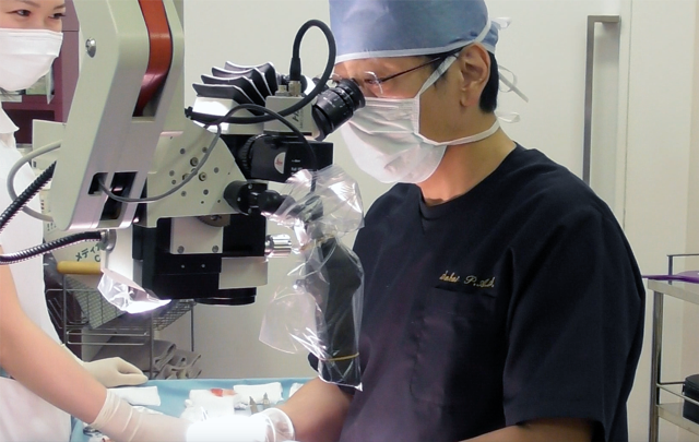 酒井伦明 - 【u酱】