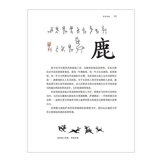 【给孩子系列】给孩子的汉字王国 商品图2