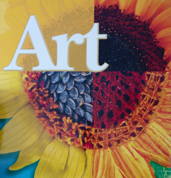 美国K12艺术素养与创造力课程全套教材9册