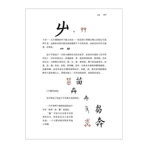 【给孩子系列】给孩子的汉字王国 商品图1