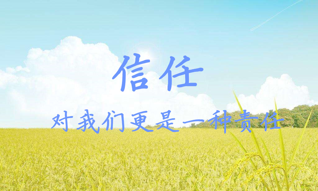 SS平皮带接口螺丝