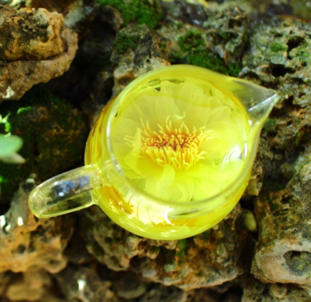 台湾菩提心莲茶 水中盛开的莲花 美容养颜用途多