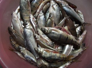 (微信公众号认证)                          丽水市掌上菜篮子