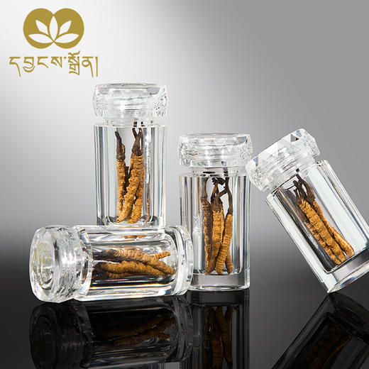 2000条虫草-央珍虫草 商品图0