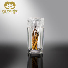 1200条虫草-央珍虫草