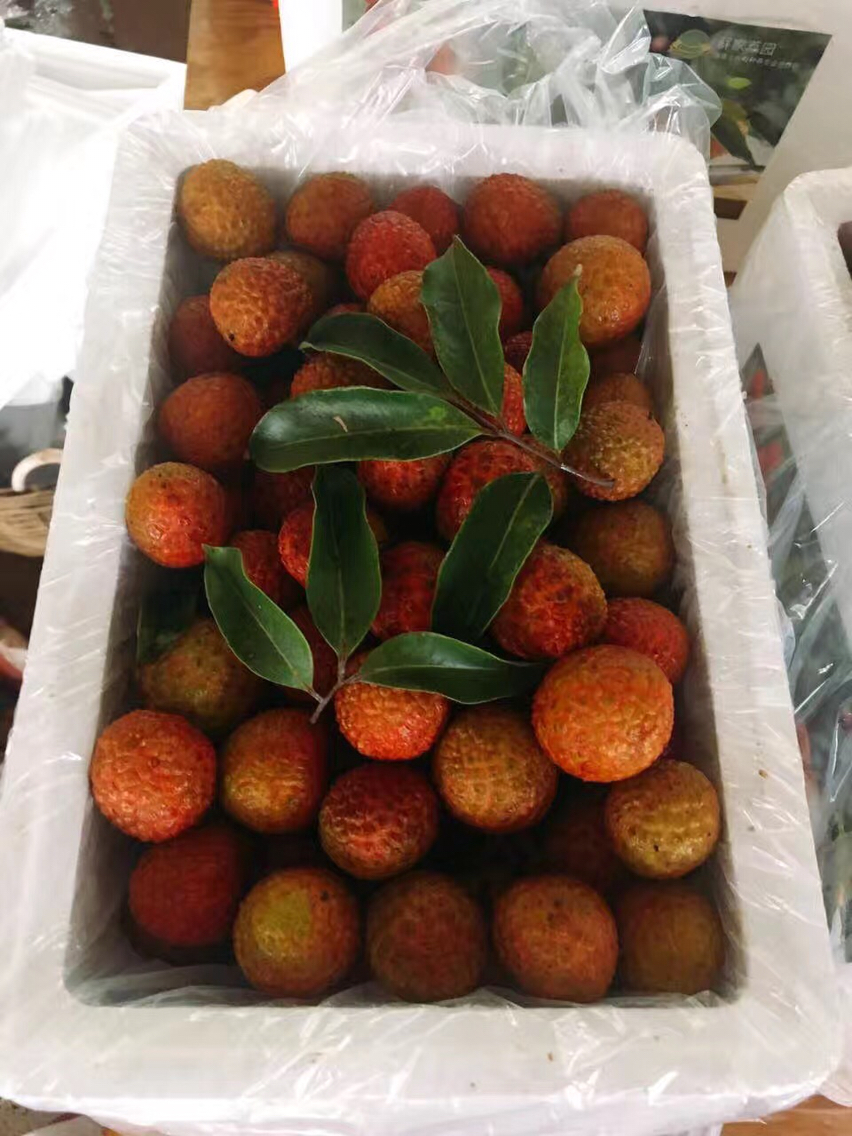 海南白糖罂荔枝