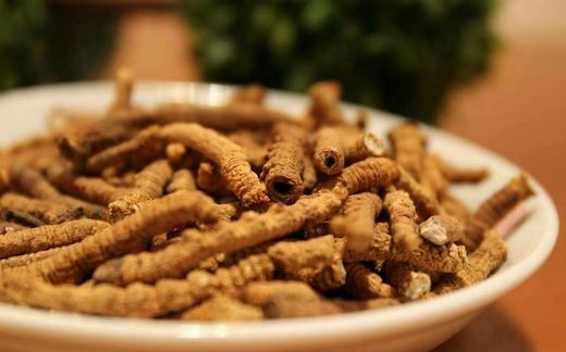 断枝虫草-央珍虫草 商品图3