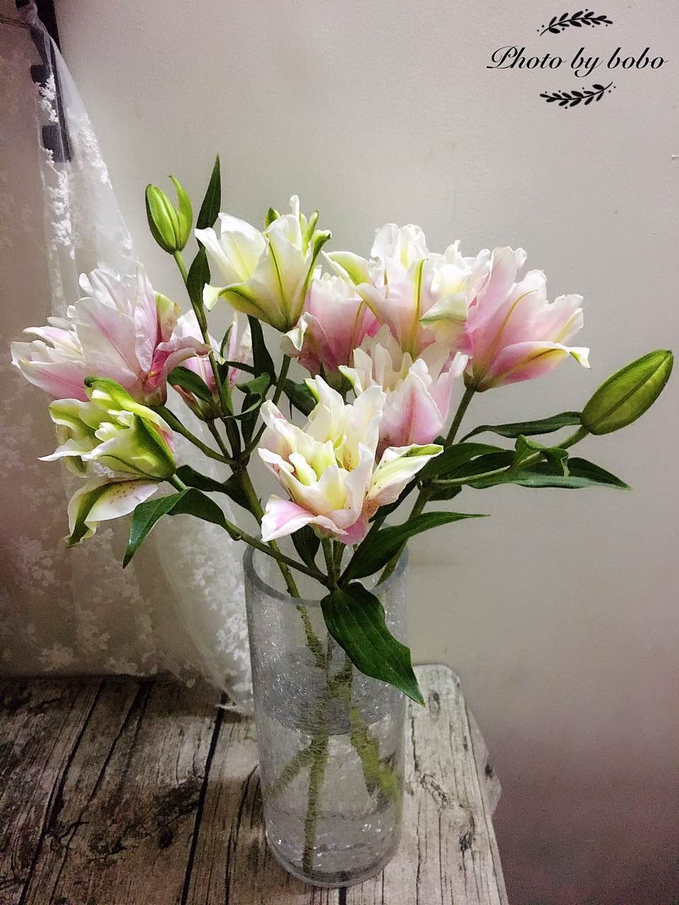 闪购| 国产重瓣百合,3枝\/69.9元(限广东省内购买) - FLOEVER鲜花商城