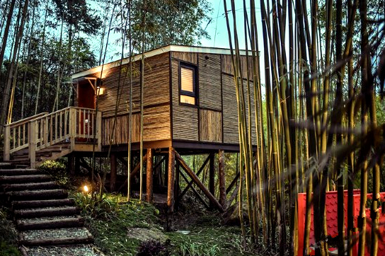 【安缇缦】住都江堰·莲花湖边浪漫星空树屋,玩丛林冒险园