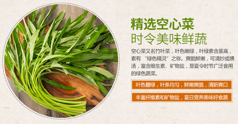 青通菜|南方传媒农业科普基地