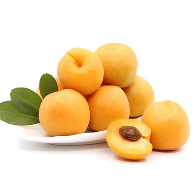 浙江酸甜杏梅 500g装