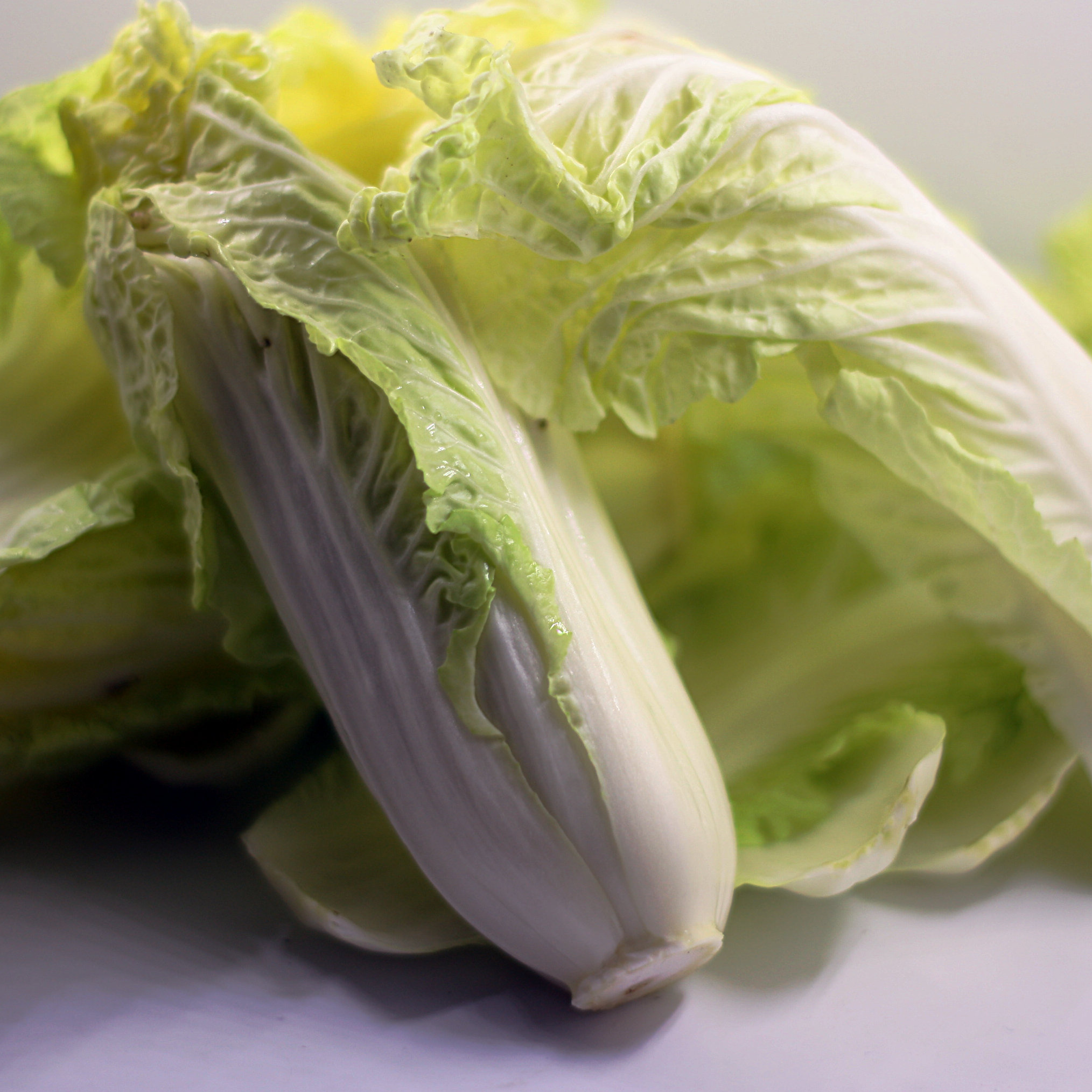 娃娃菜| 南方传媒农业科普基地