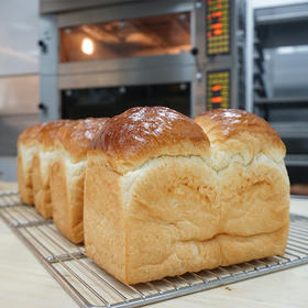 牛奶吐司（12小时发酵）