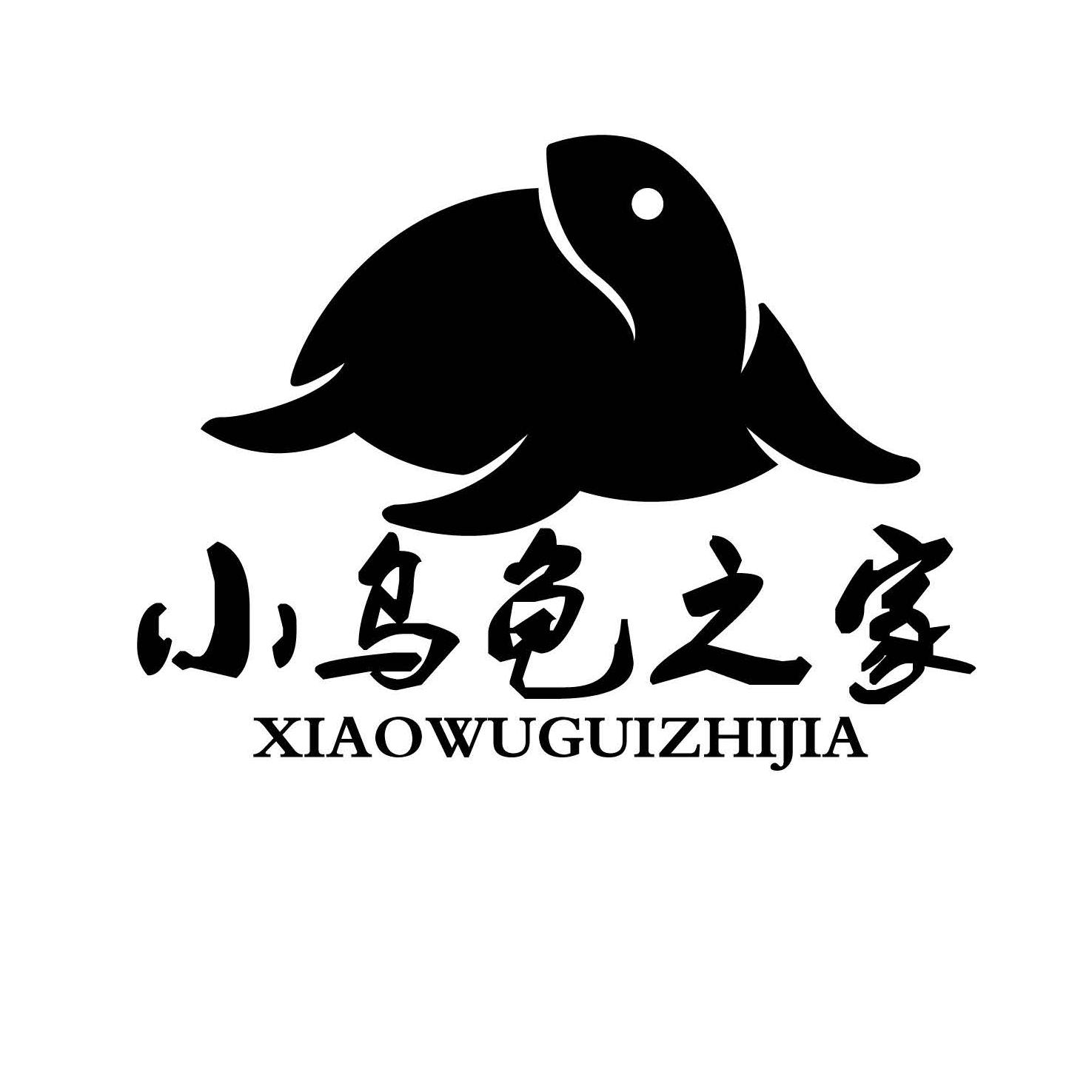 小乌龟之家200509