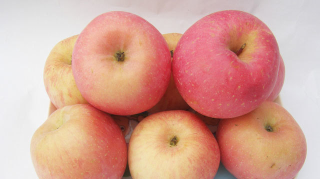 苹果 高山富士 脆甜整件14斤左右