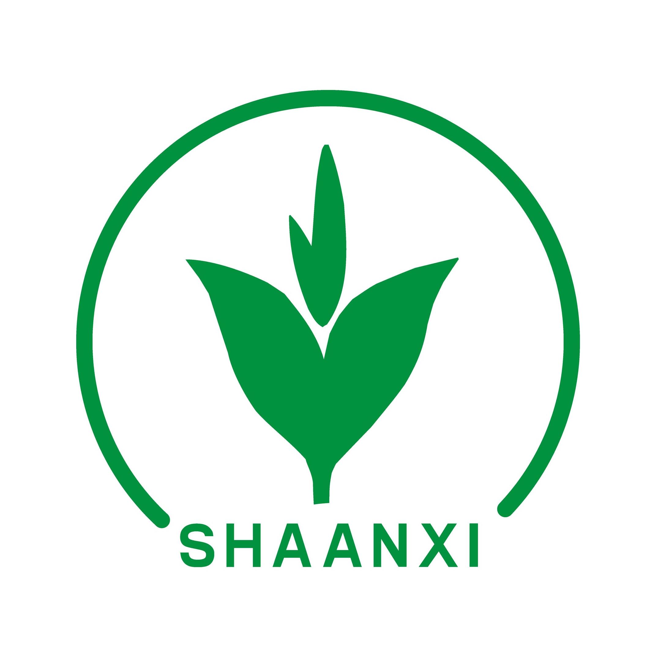 陕西人民教育出版社