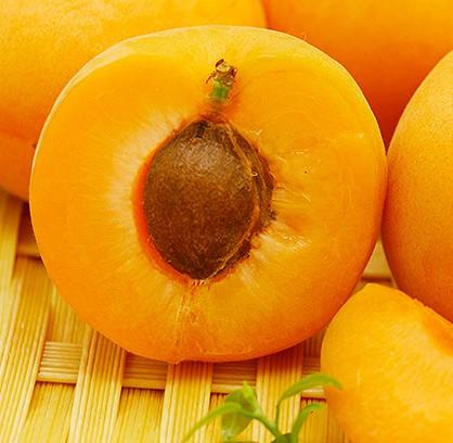 【东乡县】东乡唐汪包核杏5斤装，全国包邮，酸甜多汁，果肉丰厚，酸甜爽口 商品图3