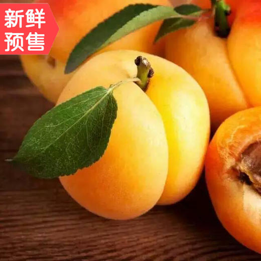 【东乡县】东乡唐汪包核杏5斤装，全国包邮，酸甜多汁，果肉丰厚，酸甜爽口 商品图2